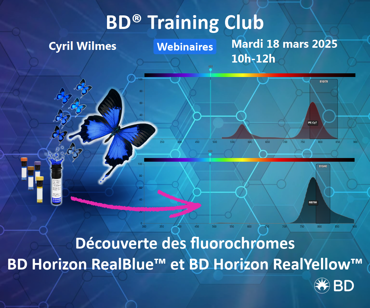 Lire la suite à propos de l’article BD Training Club – Mardi 18 mars 10h-12h