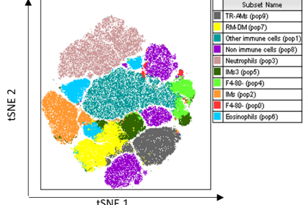 tsne